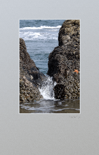 Wave gushing through notch at base of Jockey Cap with sealife